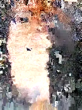 Snapshot of erinadarling79 chatting on 09/25/25, 10:02 erinadarling79 online show from 09/25/25, 10:02