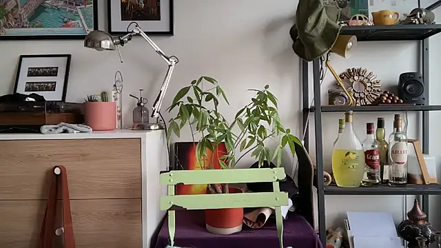 MikymikeBBWD online show from 11/12/25, 11:43