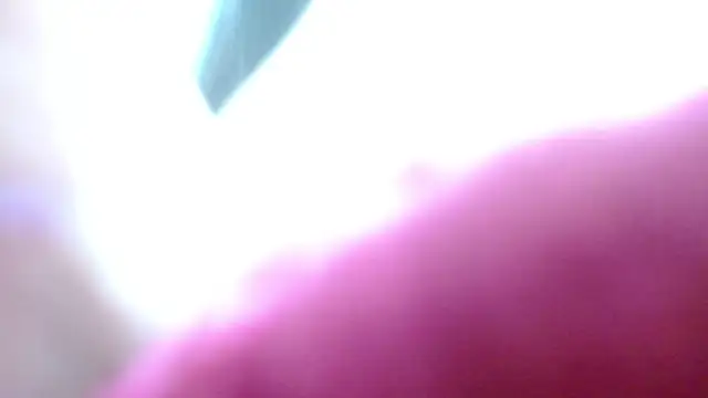 camilah tk online show from 05/13/26, 12:24