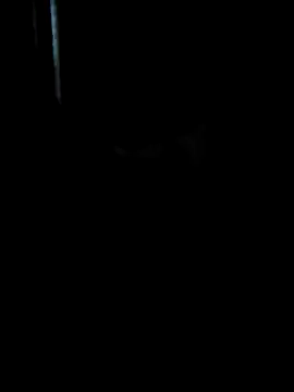 Ruanie online show from 04/13/26, 07:03