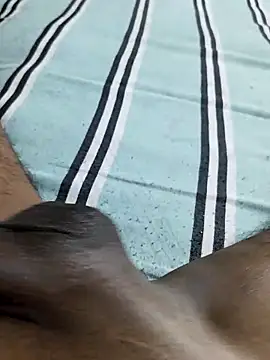 desi pb02 online show from 03/17/26, 02:20