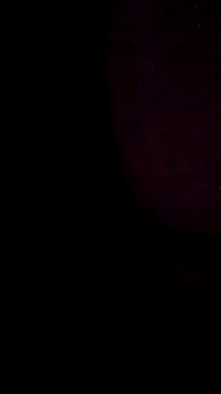 salchichon 69 online show from 03/11/26, 08:31