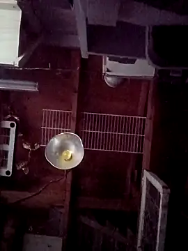 salchichon 69 online show from 03/31/26, 02:28