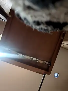 Snapshot of QueenM3 chatting on 03/11/25, 12:44 QueenM3 online show from 03/11/25, 12:44