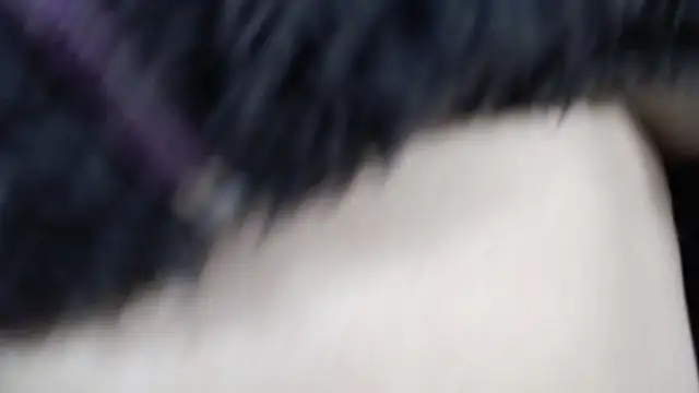 Snapshot of amy_royale chatting on 03/18/25, 05:31 amy royale online show from 03/18/25, 05:31