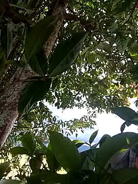 Mycansonhot online show from 04/11/26, 07:18