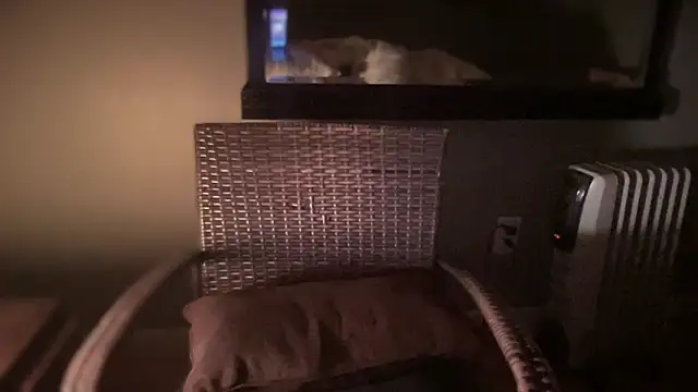 DominantDong online show from 02/28/25, 11:25