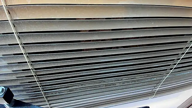 SaraClub JY online show from 10/21/25, 10:43