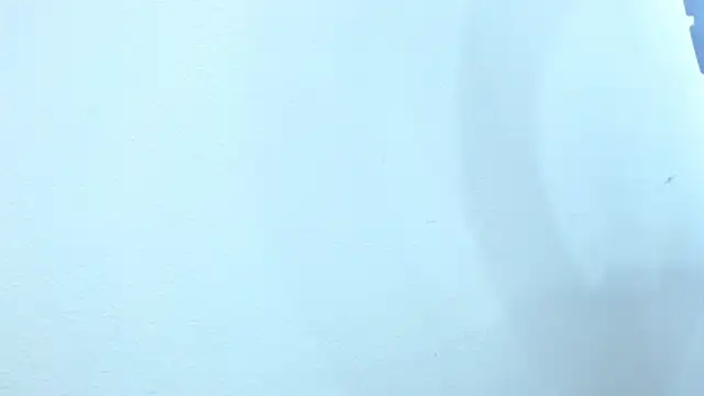 Snapshot of sebastian_colle chatting on 02/26/25, 03:08 sebastian colle online show from 02/26/25, 03:08