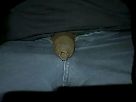 Snapshot of Mthondo-qinile chatting on 11/18/25, 09:30 Mthondo-qinile online show from 11/18/25, 09:30