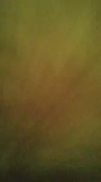 Snapshot of Sexlove1xo chatting on 03/09/25, 07:59 Sexlove1xo online show from 03/09/25, 07:59