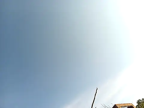 lilpip online show from 11/27/25, 04:03