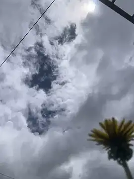 Snapshot of MaxxxSteil chatting on 11/12/25, 03:56 MaxxxSteil online show from 11/12/25, 03:56