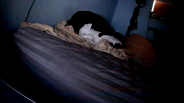 Snapshot of PornStro921 chatting on 02/11/26, 08:25 PornStro921 online show from 02/11/26, 08:25