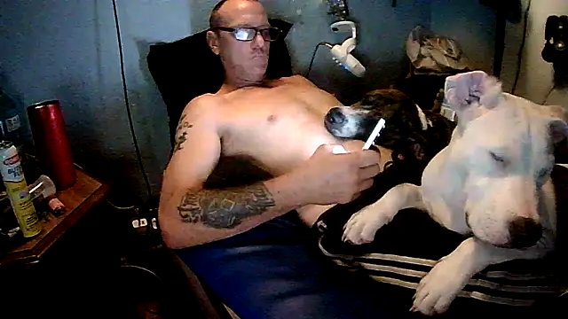 PornStro921 online show from 06/09/26, 06:08