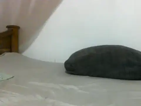 sissydinu online show from 02/28/25, 06:10