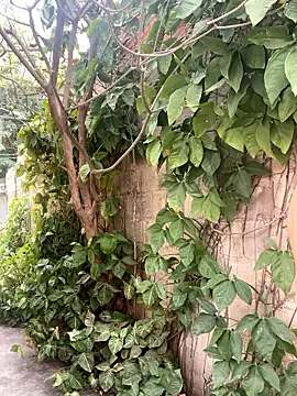 twinks 28 online show from 01/14/26, 08:36