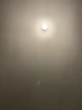 1Zoey101 online show from 04/02/26, 03:42