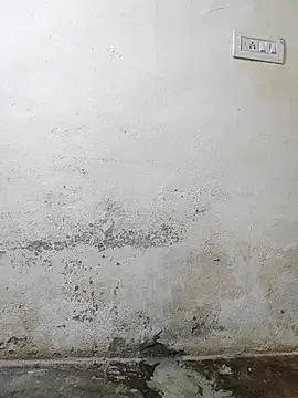 pallu telgu kannada online show from 03/04/26, 05:30