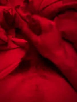 ruchacz24 online show from 03/06/25, 02:51