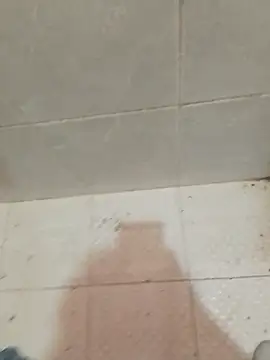 enoc369 online show from 04/23/26, 05:04