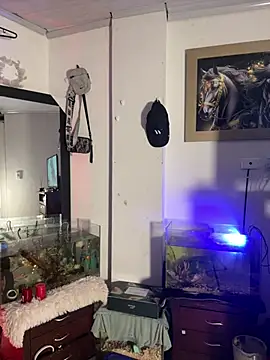 CRAZY-BOY99 online show from 01/11/26, 07:57