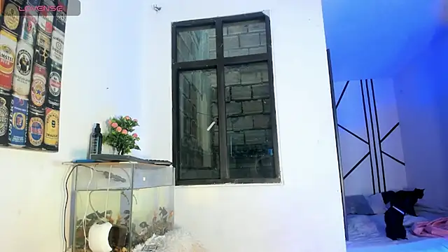 CRAZY-BOY99 online show from 02/11/26, 11:37