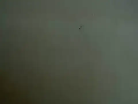 Snapshot of mayra89 chatting on 03/29/26, 08:25 mayra89 online show from 03/29/26, 08:25