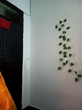 Neha-Bhabhi-Rasily online show from 11/27/25, 05:20