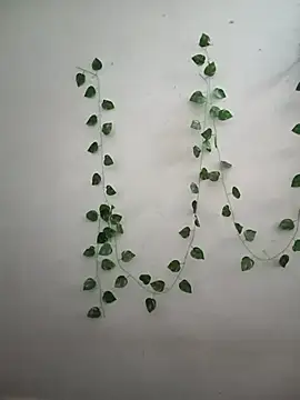 Snapshot of Neha-Bhabhi-Rasily chatting on 02/14/26, 04:42 Neha-Bhabhi-Rasily online show from 02/14/26, 04:42