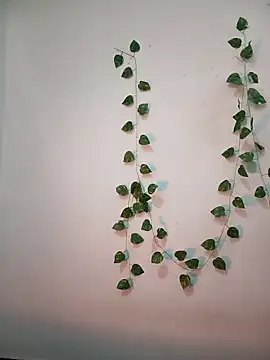 Snapshot of Neha-Bhabhi-Rasily chatting on 02/18/26, 11:17 Neha-Bhabhi-Rasily online show from 02/18/26, 11:17