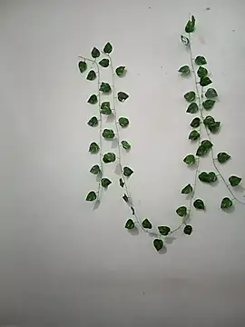 Snapshot of Neha-Bhabhi-Rasily chatting on 02/22/26, 09:08 Neha-Bhabhi-Rasily online show from 02/22/26, 09:08