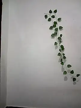 Neha-Bhabhi-Rasily online show from 04/06/26, 04:52