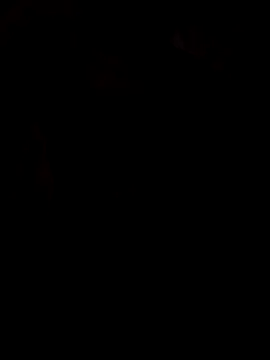 Snapshot of viviksmel chatting on 10/25/25, 11:51 viviksmel online show from 10/25/25, 11:51