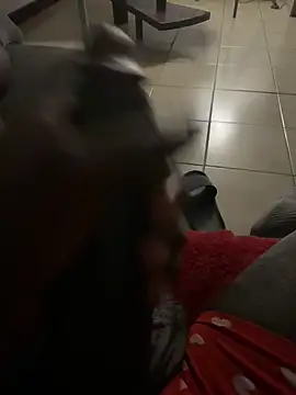 Snapshot of Goodball88 chatting on 02/28/26, 03:07 Goodball88 online show from 02/28/26, 03:07