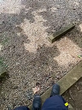 Gershel141 online show from 10/25/25, 04:46