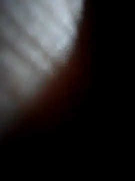 Sandra42 online show from 12/21/25, 09:44