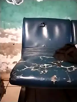 Roobert19cm online show from 03/20/25, 12:51