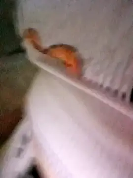 Snapshot of patrona_sexooo chatting on 10/11/25, 12:58 patrona sexooo online show from 10/11/25, 12:58