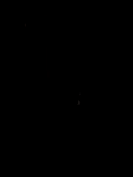 papicook online show from 05/06/26, 04:41