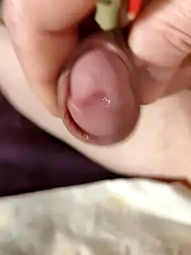 --Serhei-- online show from 11/02/25, 04:26