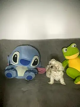 Mia cullen  online show from 09/16/25, 08:26