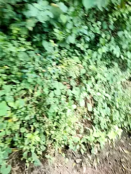 himvilohi08 online show from 10/02/25, 05:14