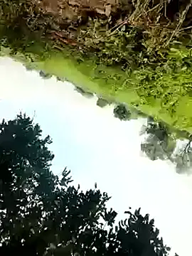 himvilohi08 online show from 10/04/25, 05:27