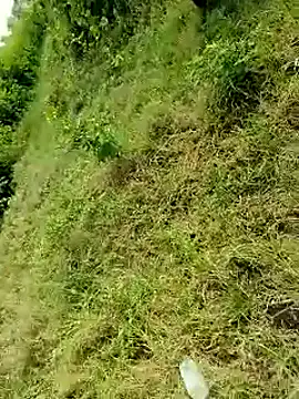 himvilohi08 online show from 10/06/25, 04:10