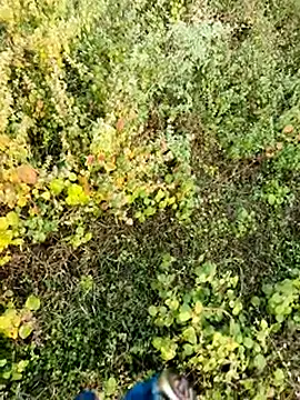 himvilohi08 online show from 12/04/25, 02:43