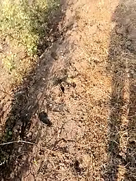 himvilohi08 online show from 02/28/26, 03:07