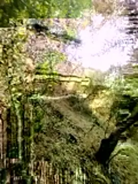 himvilohi08 online show from 03/16/26, 03:23