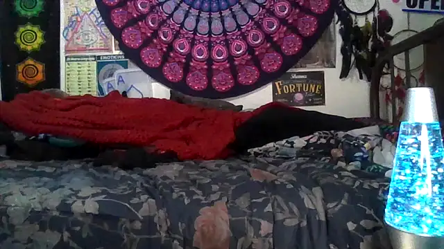 GardeniaFields online show from 02/11/26, 04:50