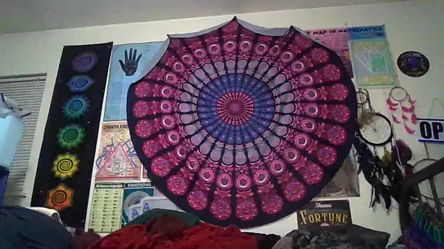 GardeniaFields online show from 03/20/26, 09:36